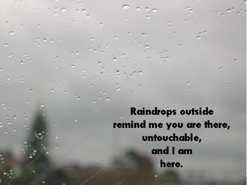 wildsweetone_raindrops.jpg